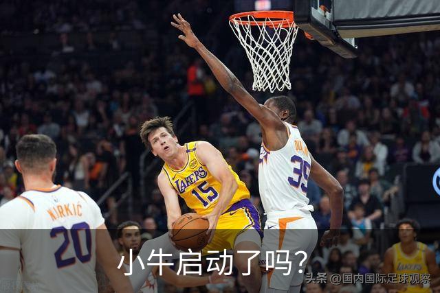 小牛启动了吗？